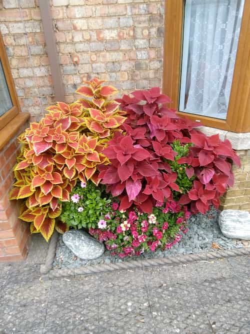 December planter