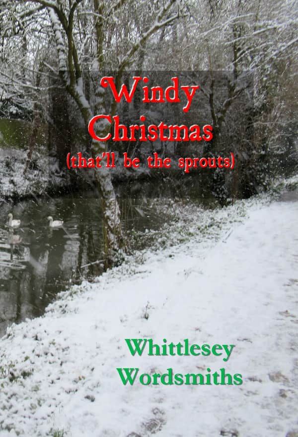 Windy Christmas