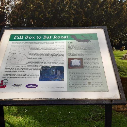 Pill Box to Bat Roost