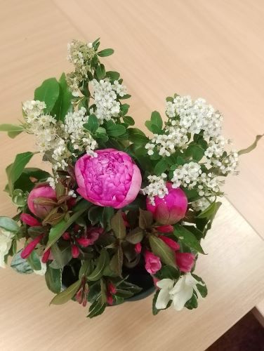 May Flowers